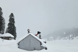 IMG-20250204-WA0004