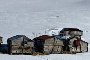 IMG_3755